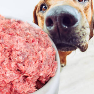 Dieta Barf